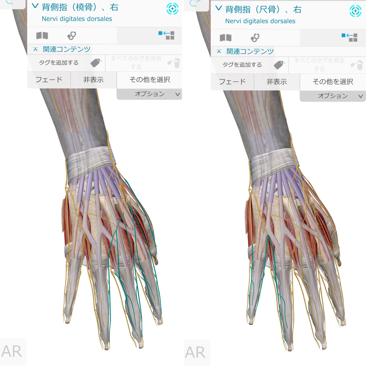 65e5685705c24e83a362568e5d97980e