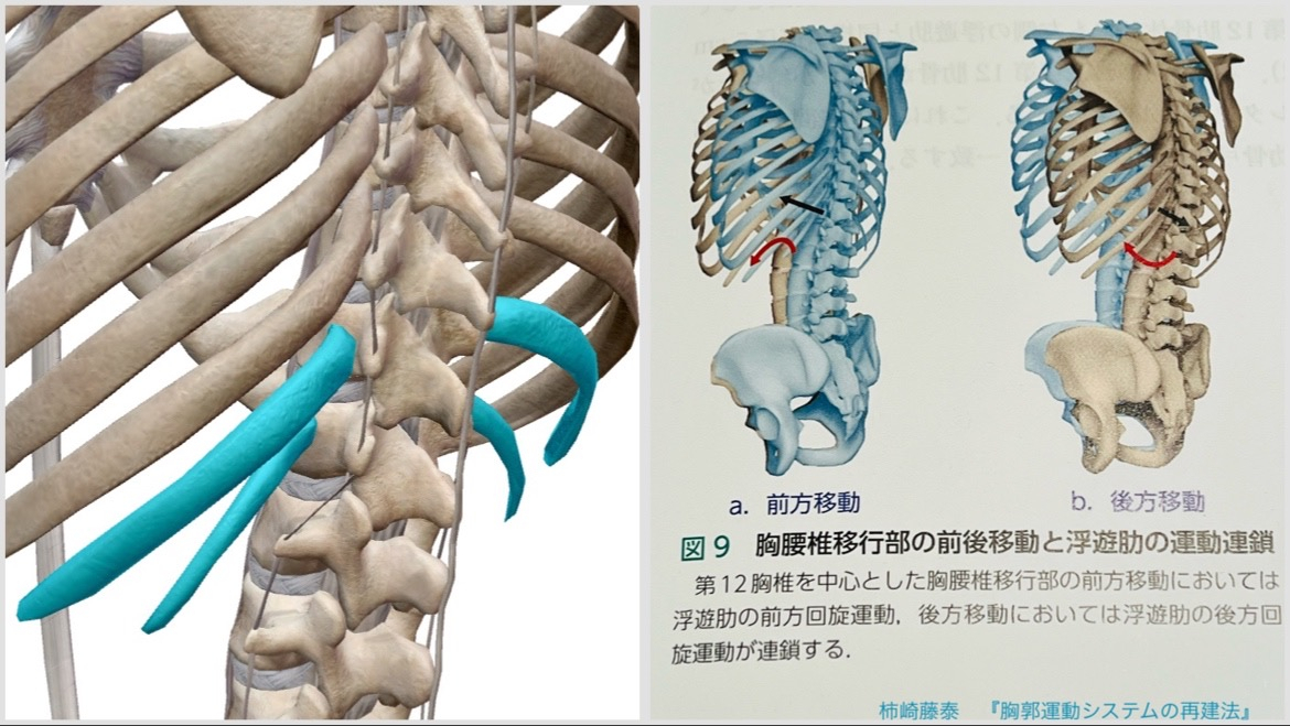 A4ed462773f14cf3b0d85fb55b6c996e
