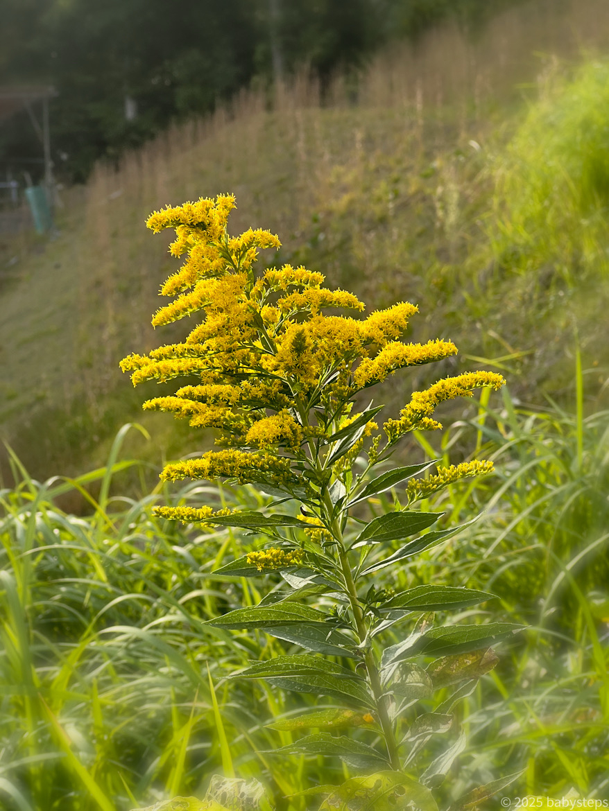 Eebfd74c4f69478ba54bf3f07305f86b Eebfd74c4f69478ba54bf3f07305f86b