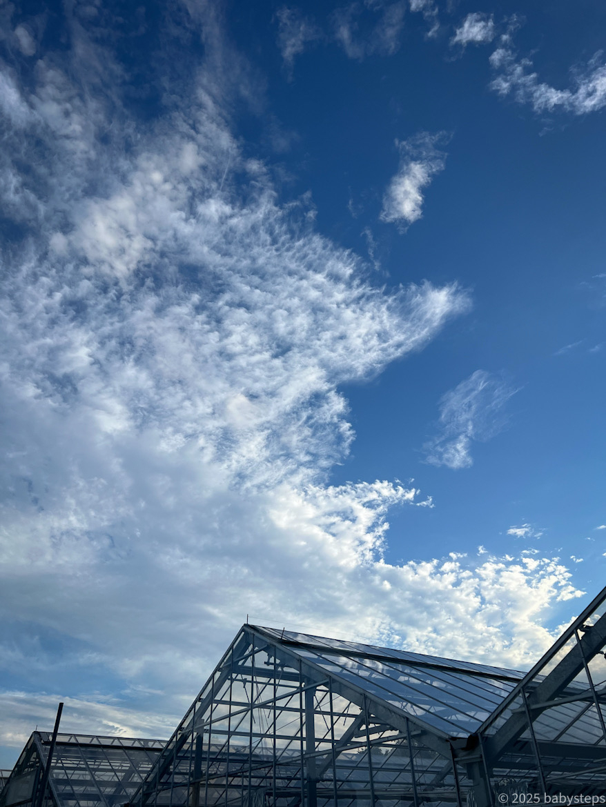 830c6d5d2bed4524b37af4c97b1e5b8e 830c6d5d2bed4524b37af4c97b1e5b8e