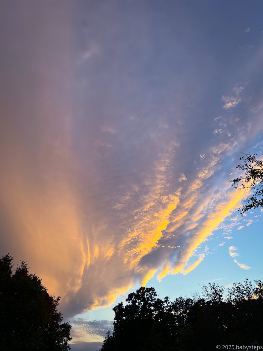 E536d1509c8640528b3fdb7a2c4ad6fd E536d1509c8640528b3fdb7a2c4ad6fd