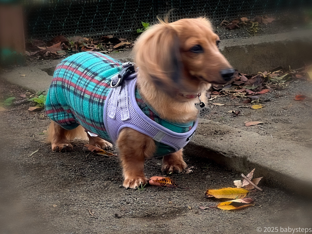 4dbaff3951ed4760963ae62c89cf1222