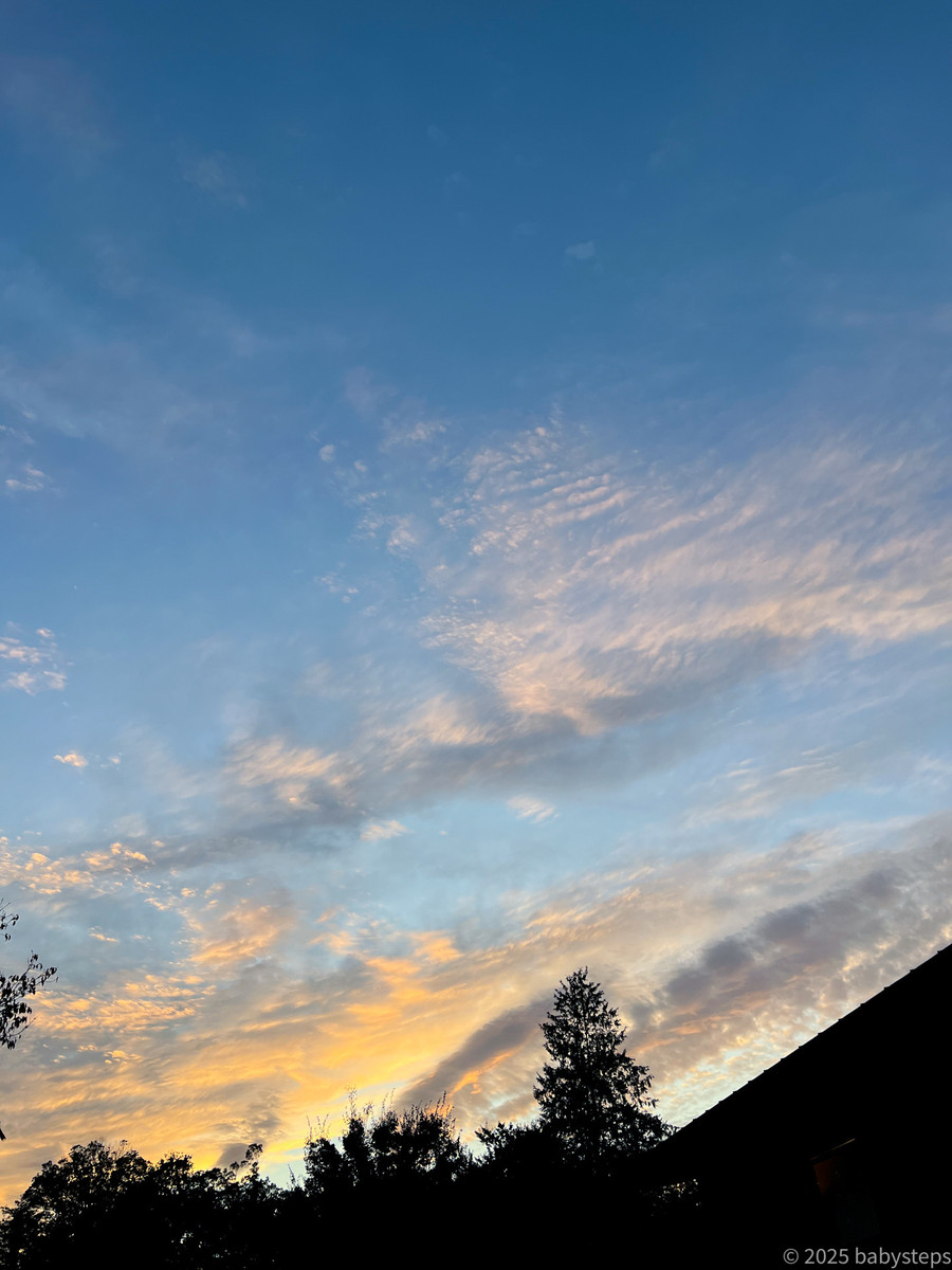 519c2b18b5a646a883d05004768bf454