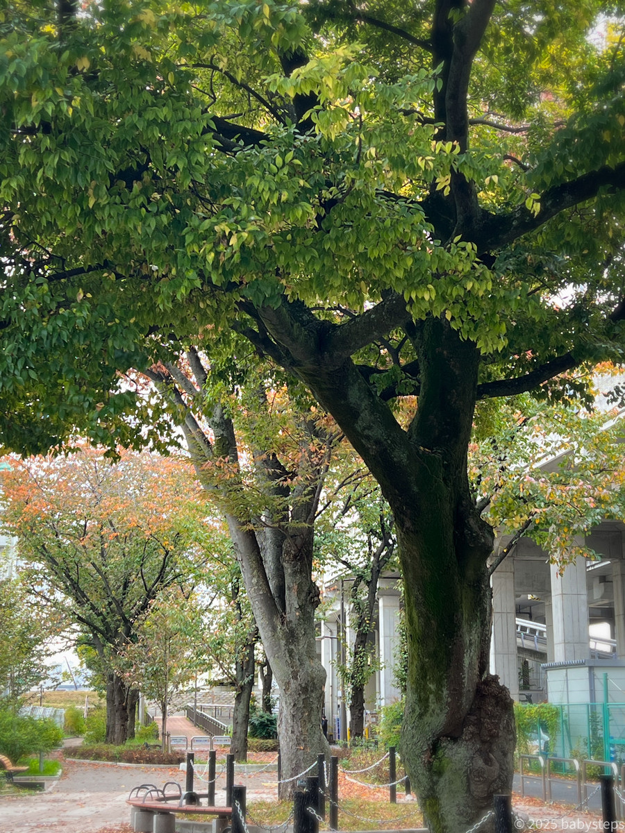 04197110af9c4195b4e7e328521e9430