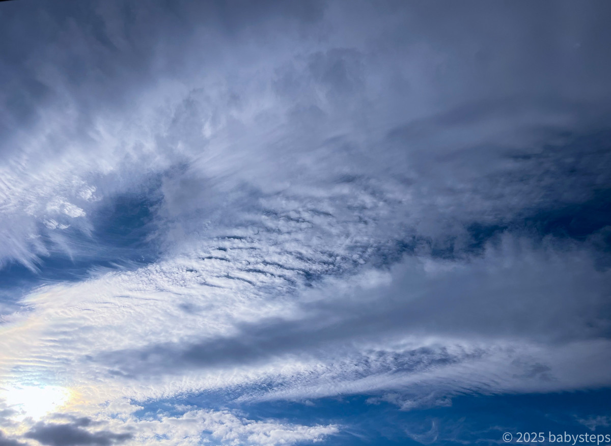 316face457614b10a8d96065d6245120