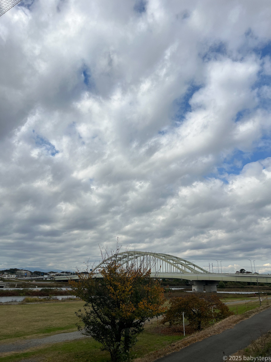 Be7481d7668e40ea8342de1019280b33 Be7481d7668e40ea8342de1019280b33