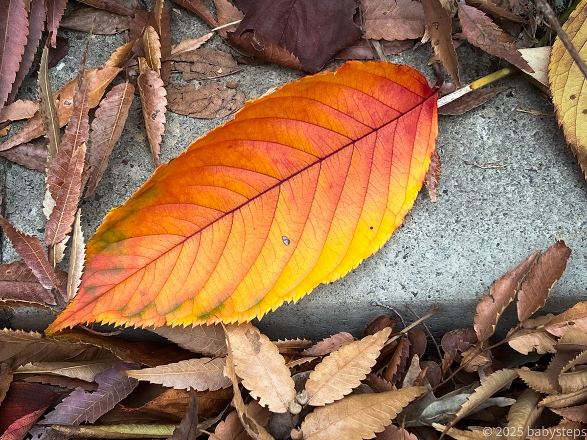 Cbb05c1c8408418ea0bf743292076d59 Cbb05c1c8408418ea0bf743292076d59