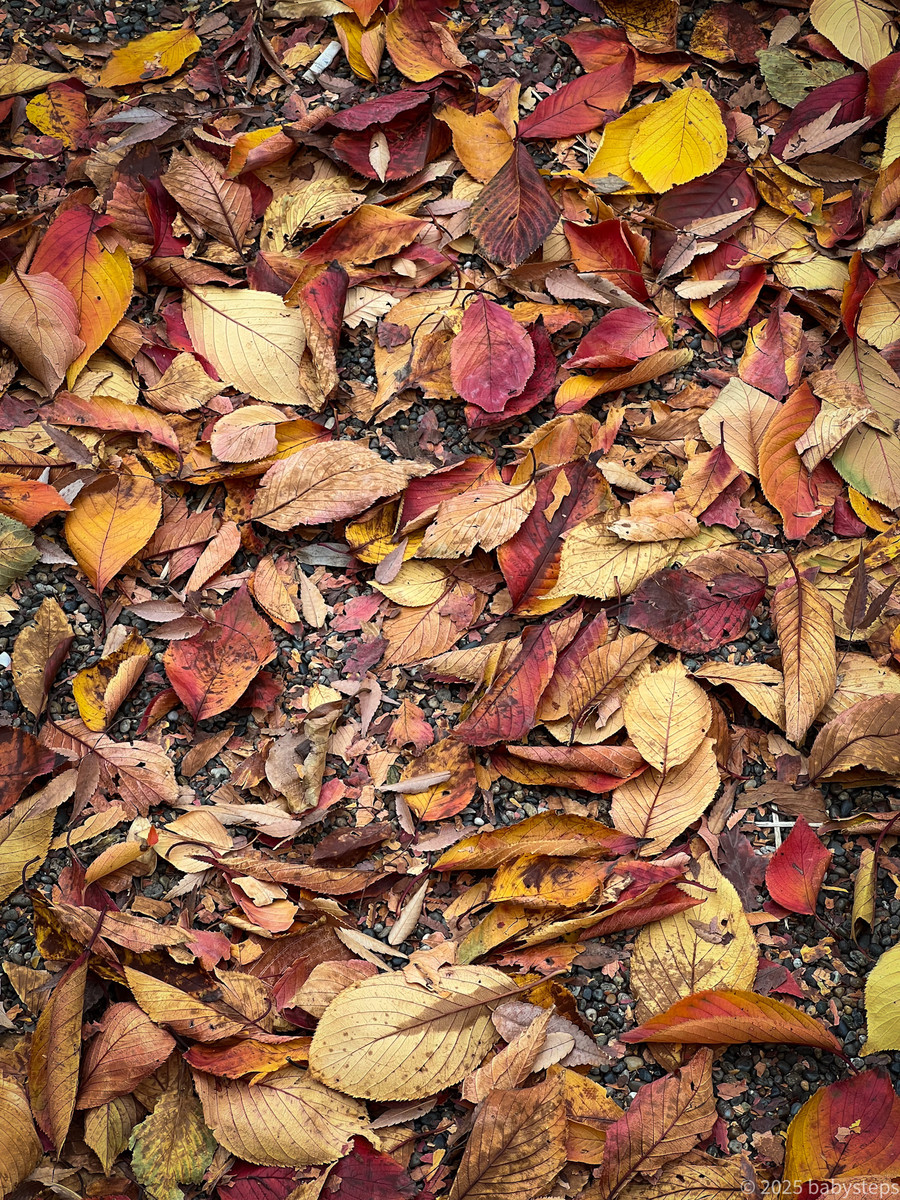 E7392926504c44f198e8332175aac6d8 E7392926504c44f198e8332175aac6d8