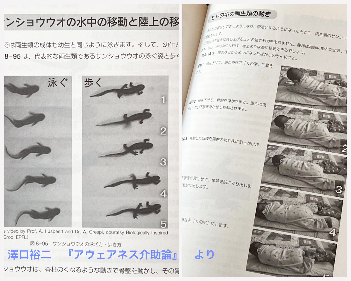 5854ca25c71945edb0c672b08f69b862