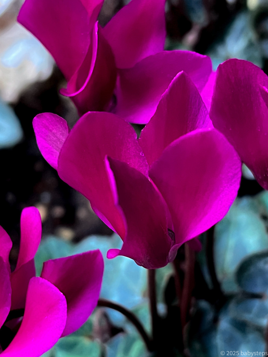 6c9ade24be9248a1946541d5b8afb013