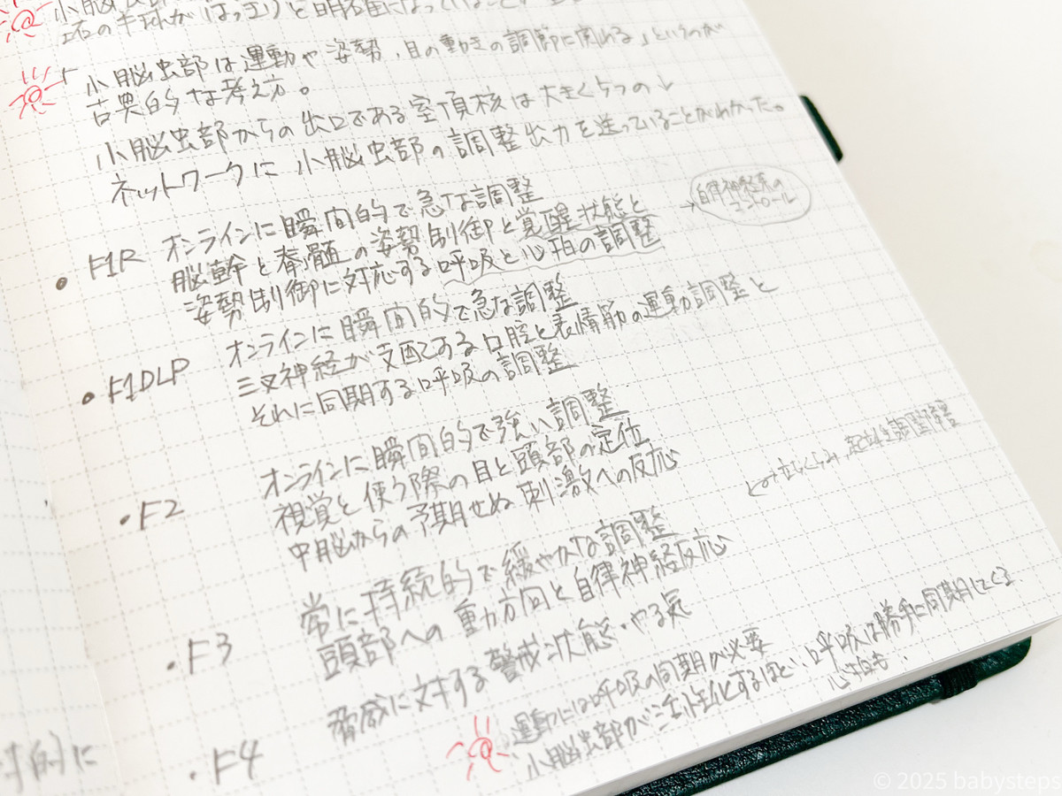 E2af32312a8b4054aa5d5248076d0b18