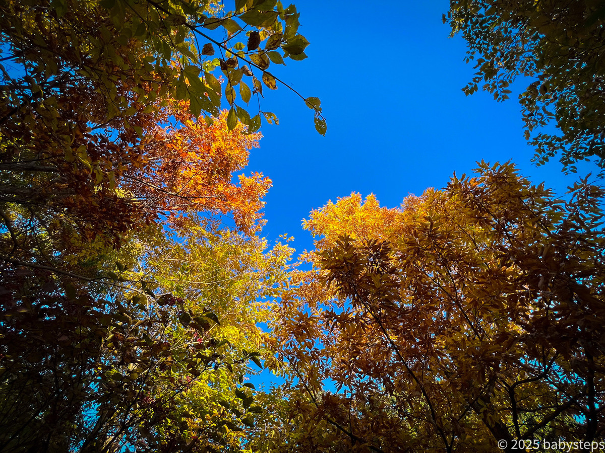 Ce33ae8a3ed249e98434db3e957d628f Ce33ae8a3ed249e98434db3e957d628f