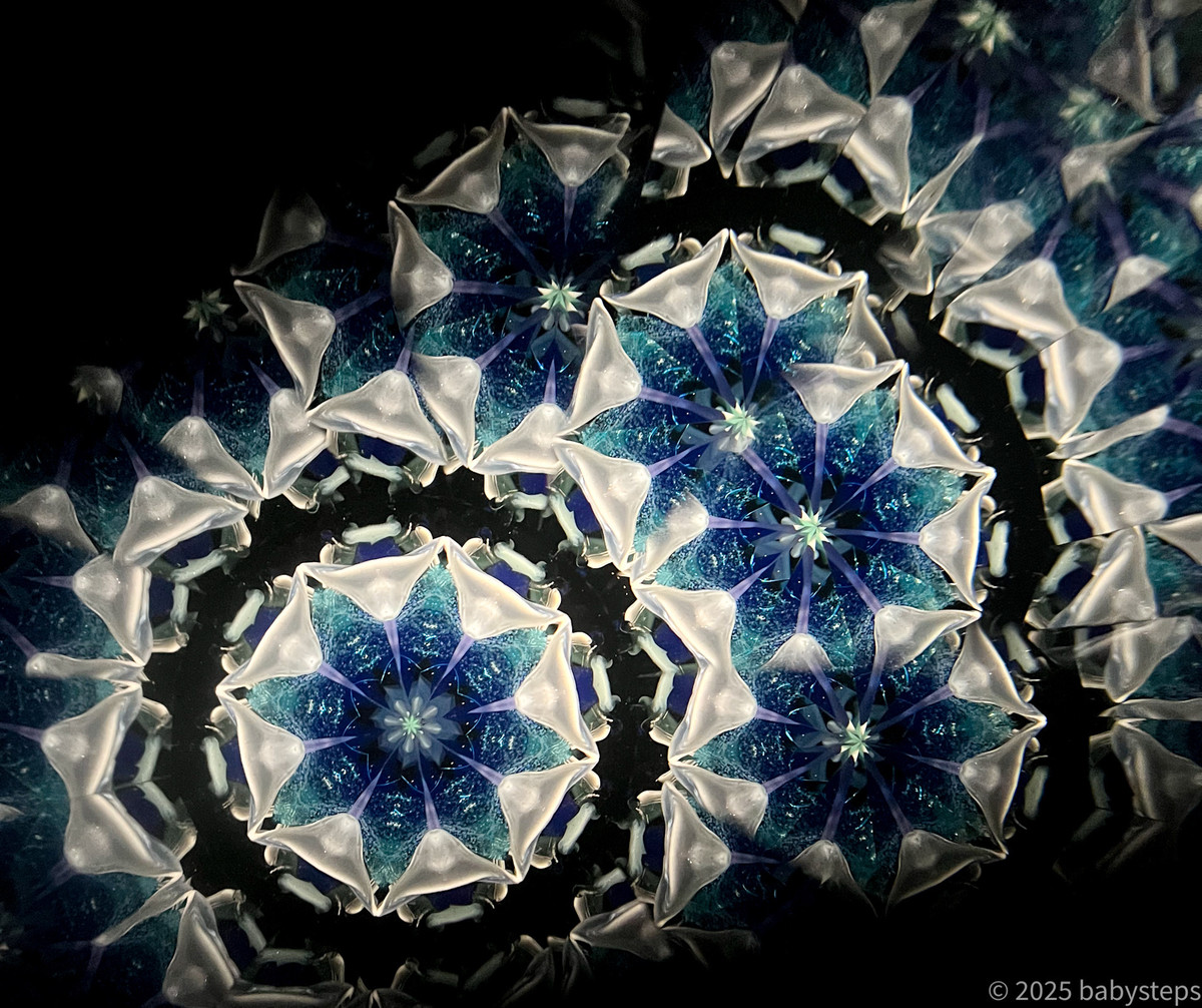 0c007167ace743cf92099404a0bb0365