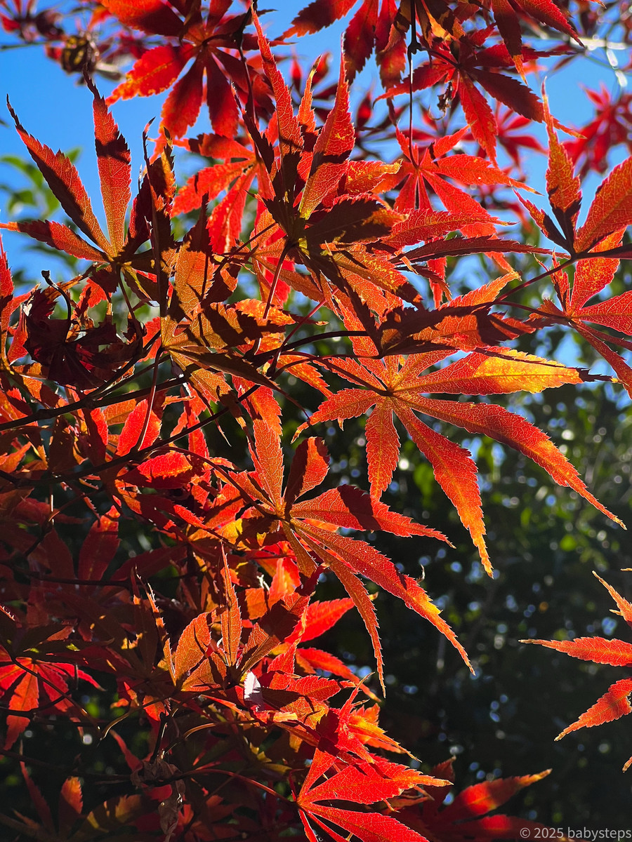 39c15b2a6d3d4af7b40b02cf3fcedb2f