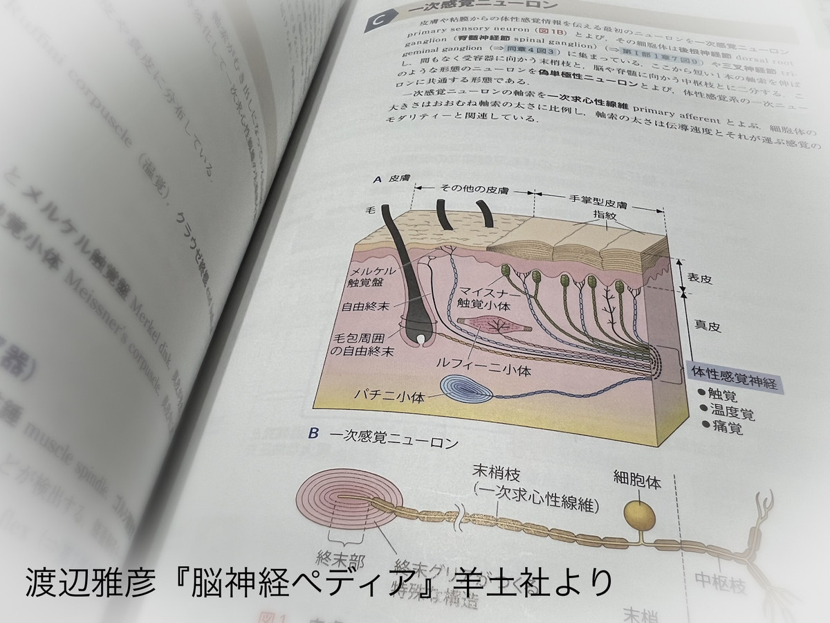 113320ab7b344816a92180cf9eaec80e 113320ab7b344816a92180cf9eaec80e