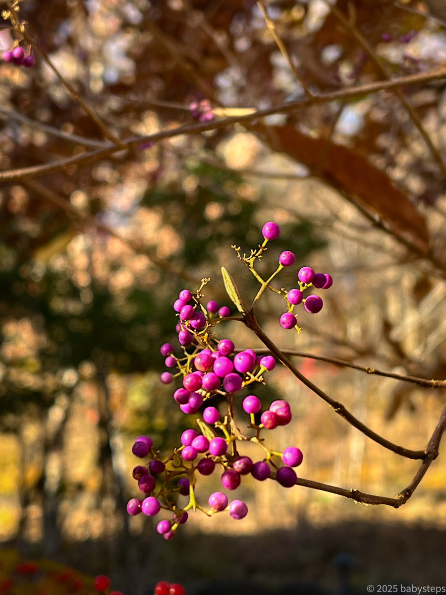 C4c573825b734ff28d3b8d3ad477c576 C4c573825b734ff28d3b8d3ad477c576