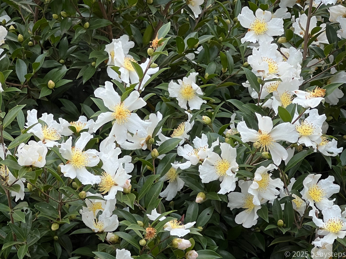 Cc3b6234dd1f4d5cba64bcd691ff7f1a Cc3b6234dd1f4d5cba64bcd691ff7f1a