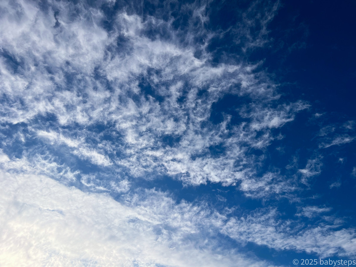 Bb022e9948f841dab78a9bfe2e350b1d Bb022e9948f841dab78a9bfe2e350b1d