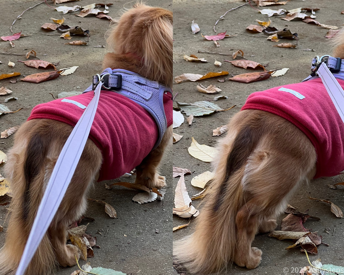 2d32bed963a146daa284d94e5f357cd1 2d32bed963a146daa284d94e5f357cd1