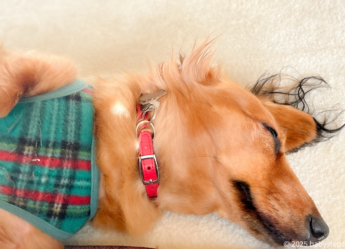 3a29db2369424fea9694624e8d0ca9de 3a29db2369424fea9694624e8d0ca9de