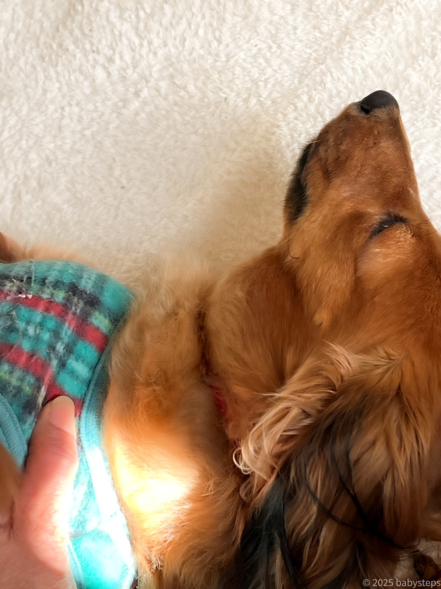 Af51c43539b541e1951b5394933c743b Af51c43539b541e1951b5394933c743b