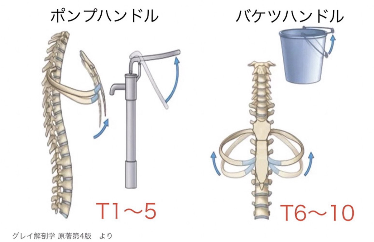 3877570dca8642b2b3f87c2ccda44208_3 3877570dca8642b2b3f87c2ccda44208_3