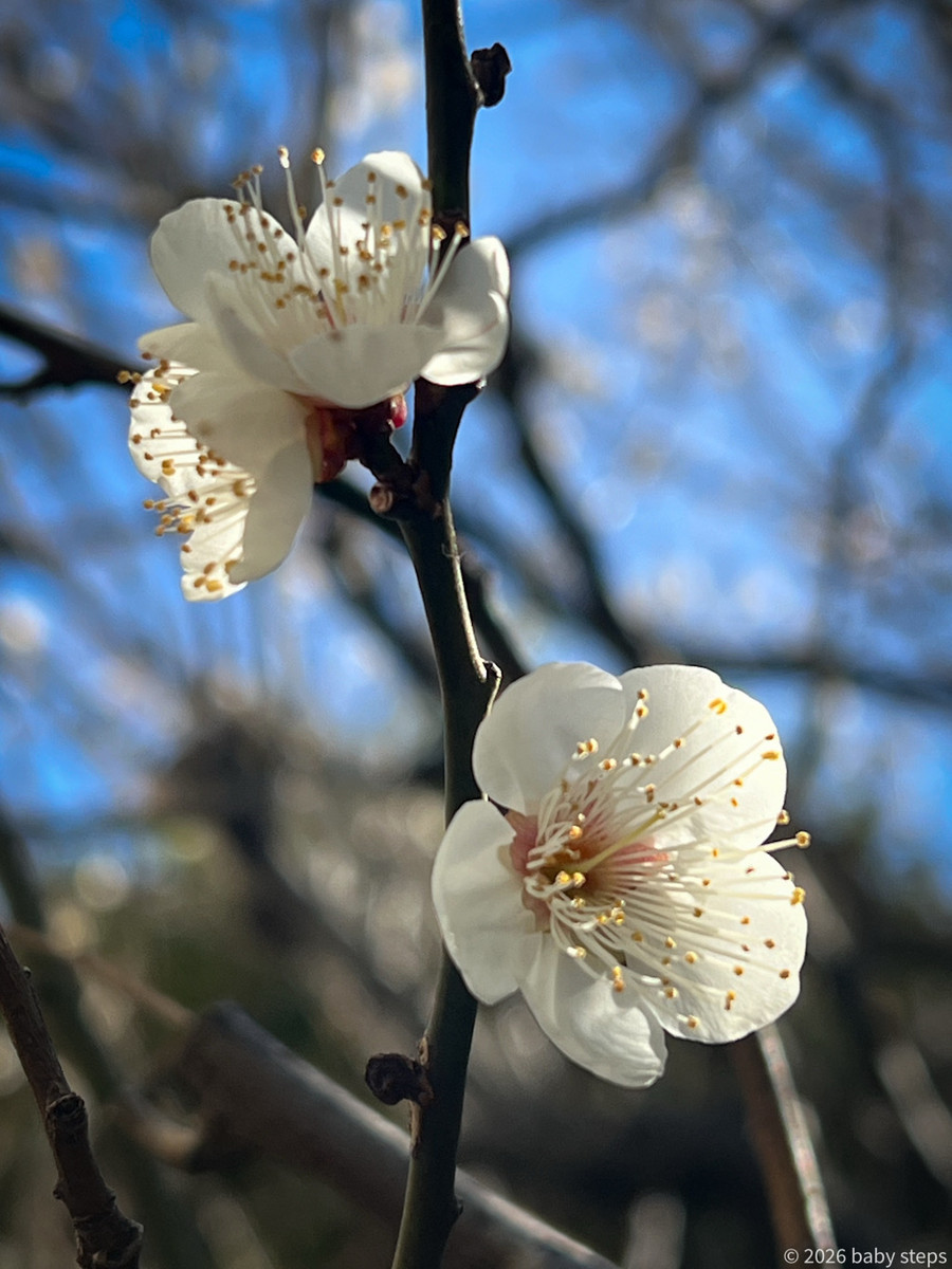 Fc6bb088547d45dbbc00aabcc0a350dd