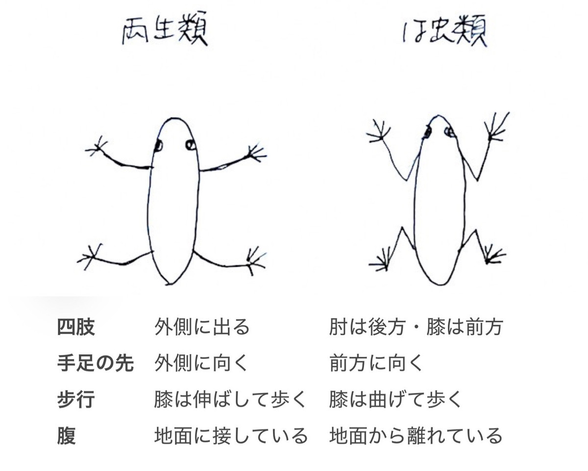 9df0a53bda554e3eb9368f6f87c5ba97