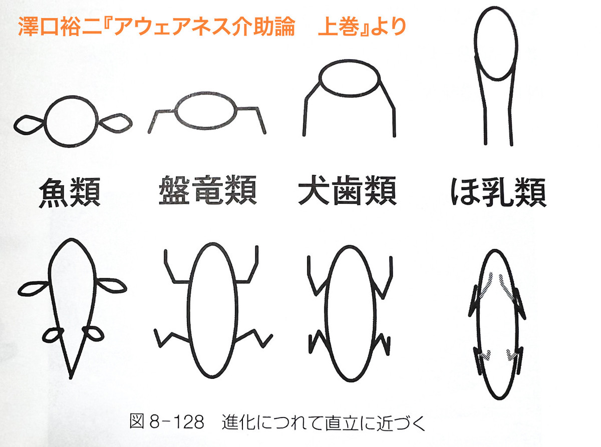 0594a5a1b1184b16b67cf3fd5cf35b7d