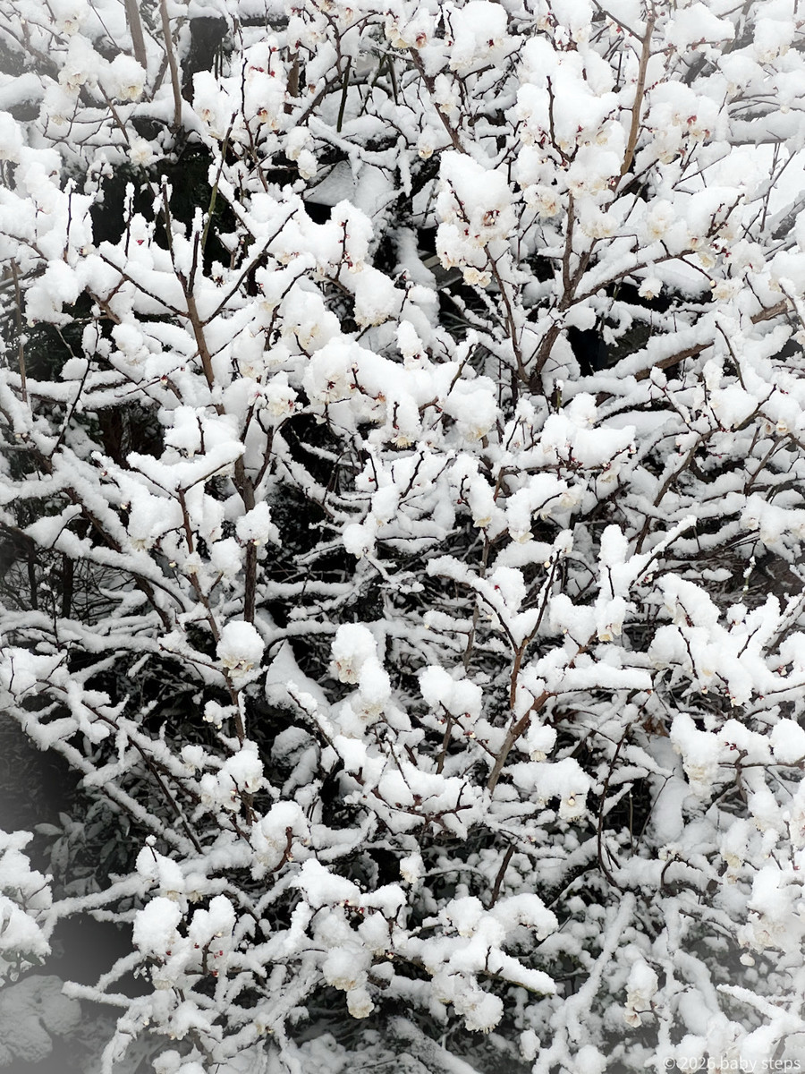 82e44113771e4bdd80851e0726404461