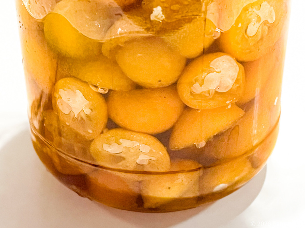 1be18b1845f44400a410c334d4b09992 1be18b1845f44400a410c334d4b09992