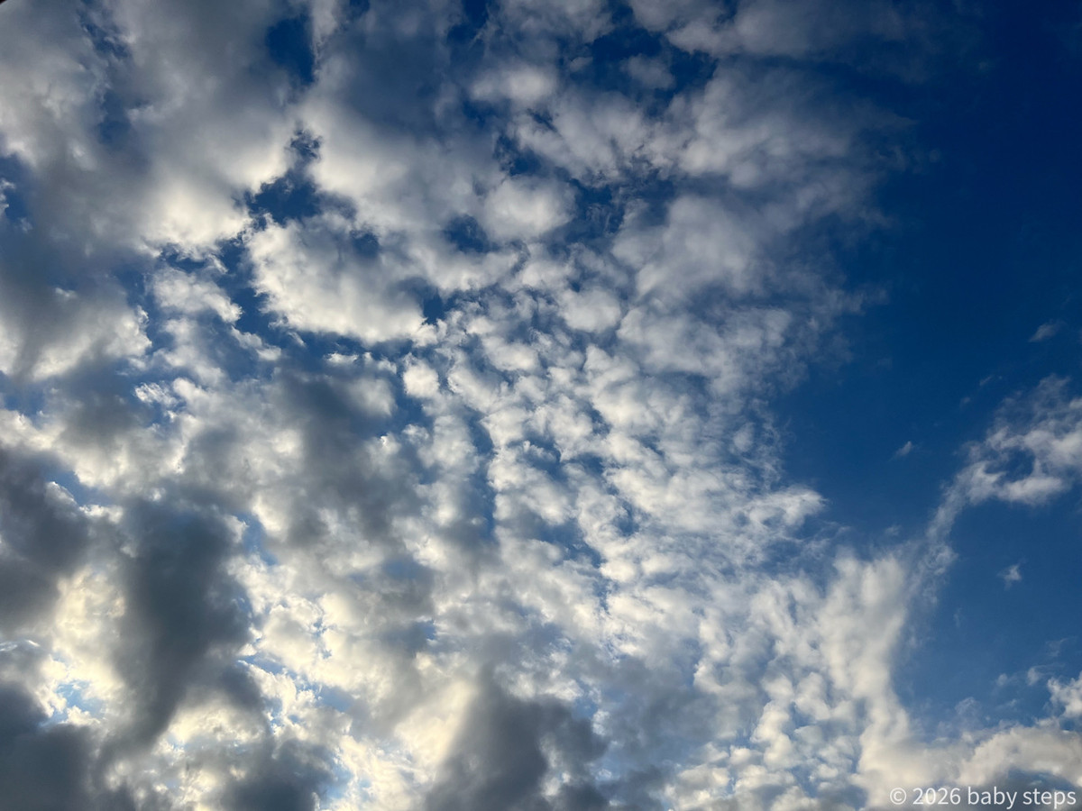 7eaa0ec3f385468e8095f766f455b916 7eaa0ec3f385468e8095f766f455b916