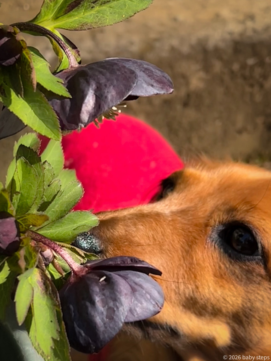 Af857ce82a654867a7d4024973ed102a