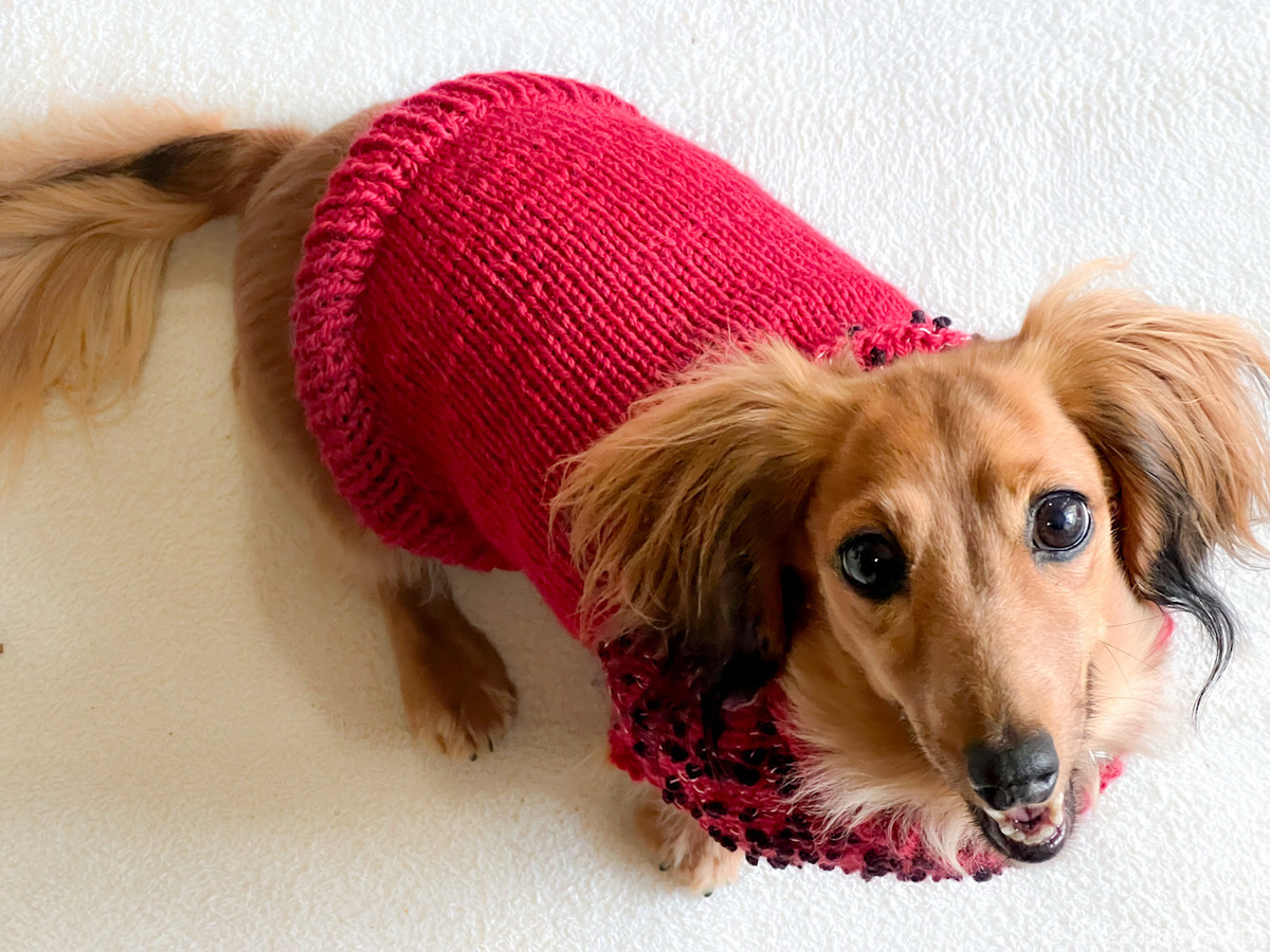 103354087ec6407f8cfd0e25082ce845 103354087ec6407f8cfd0e25082ce845