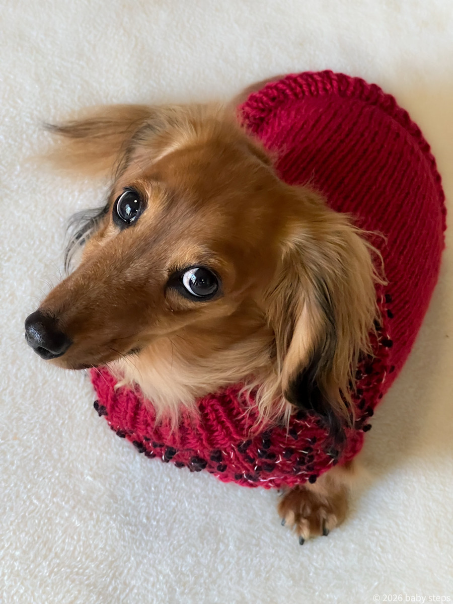 D4051c9539a546bc8d5ff729dfa17c99 D4051c9539a546bc8d5ff729dfa17c99