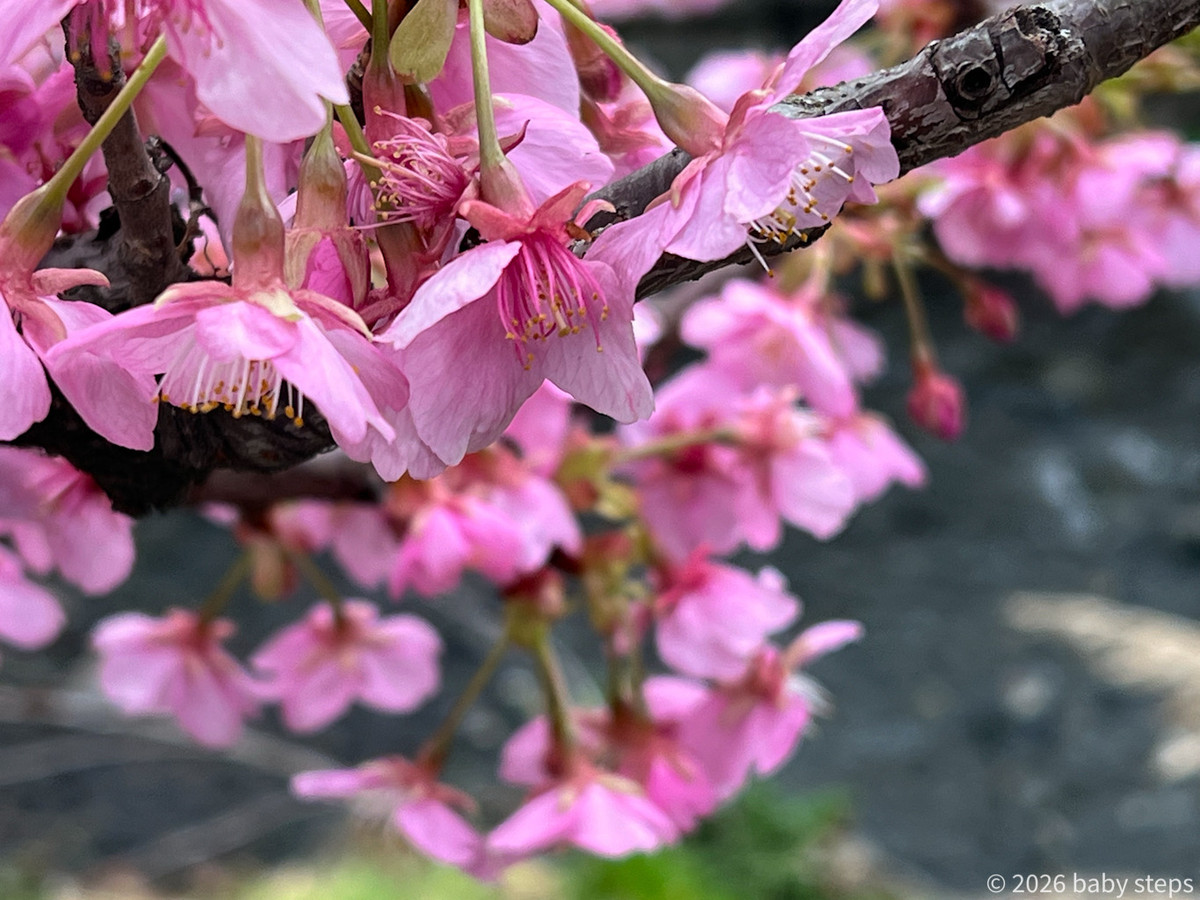 Aab439bae61f45b7abca4eb47d06e7ed