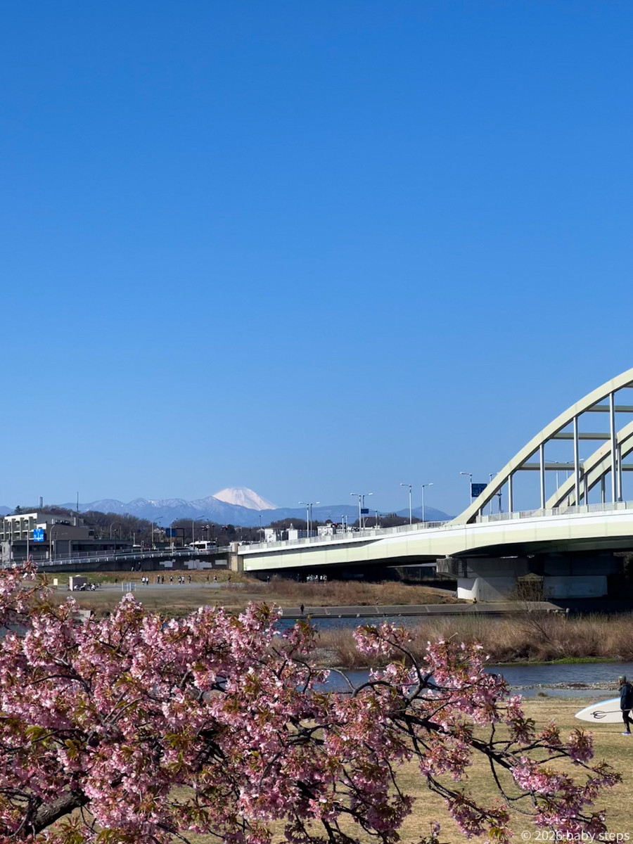 5e51012e71e544b987cb4e19c485a833 5e51012e71e544b987cb4e19c485a833