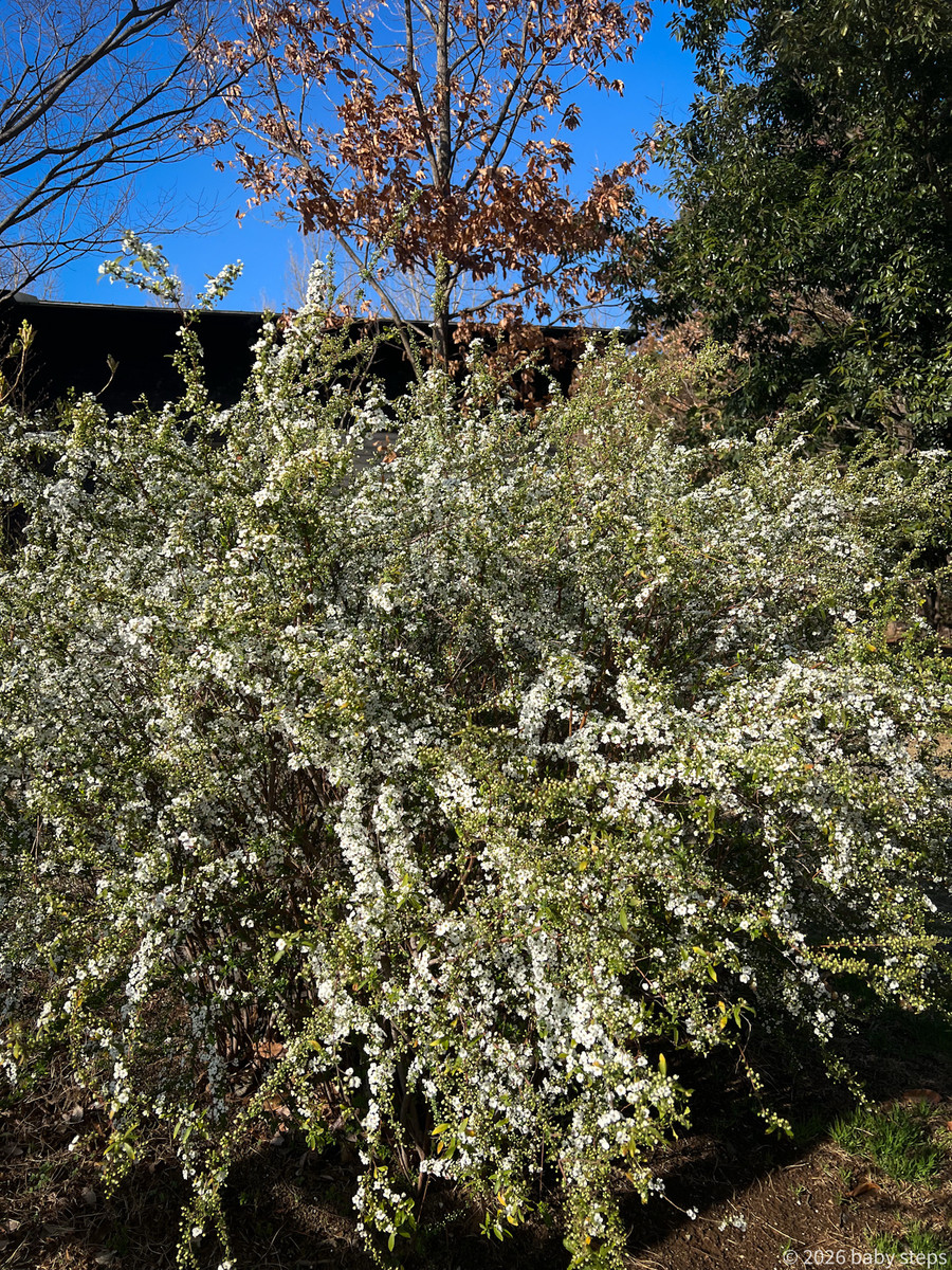 81b509224d0240a2b27d45369bf0aaf7