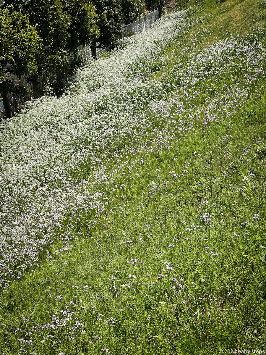 5c2d4b777c5d465c8b13f7e04fe25f89