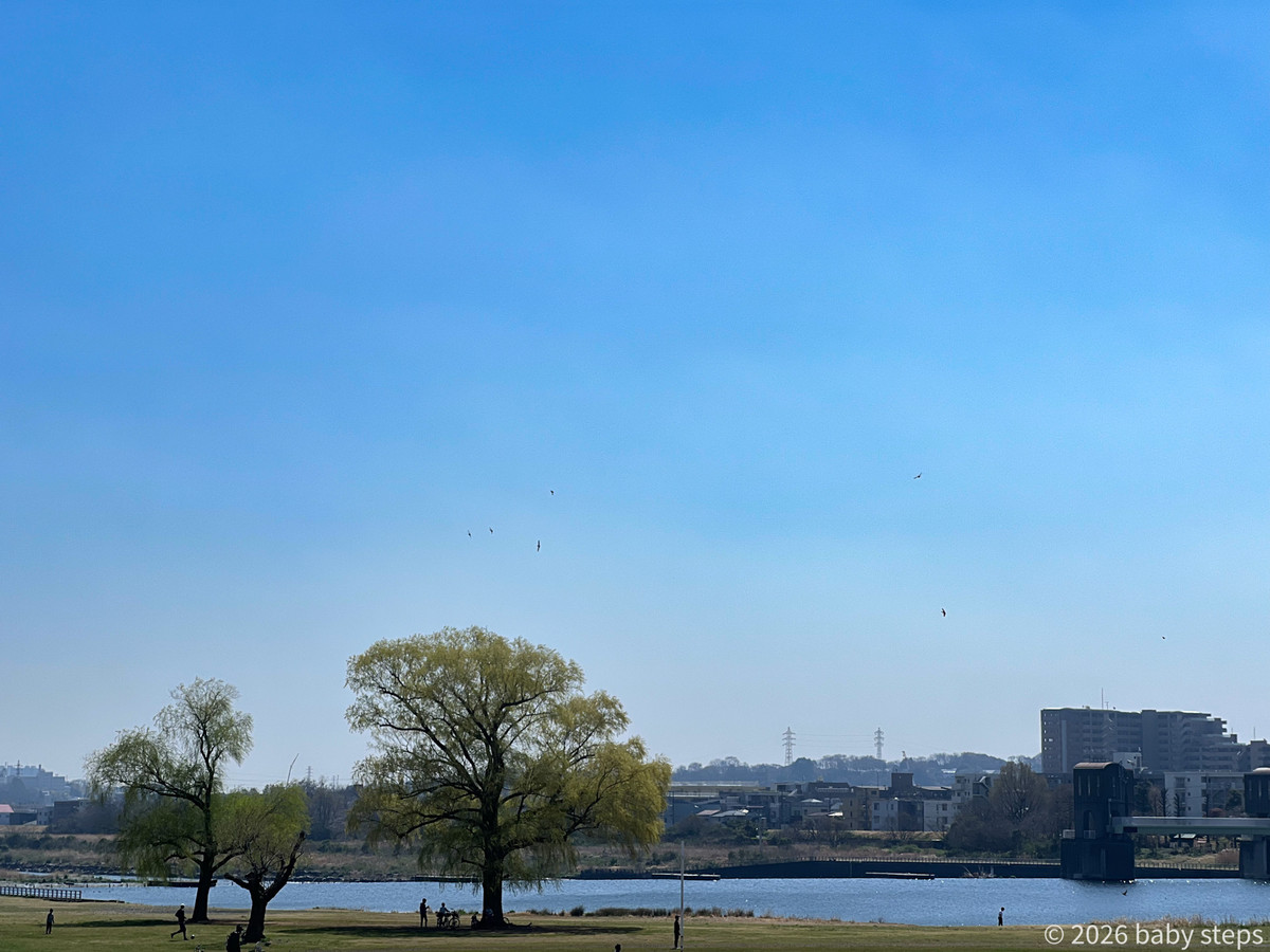 74f93258402f492b8d12b1fea39ffaa1