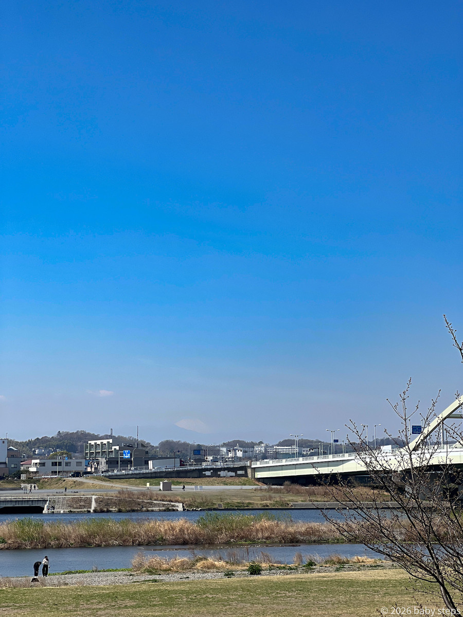 937ebd633f0e4890bbea1d8cdfbbb016