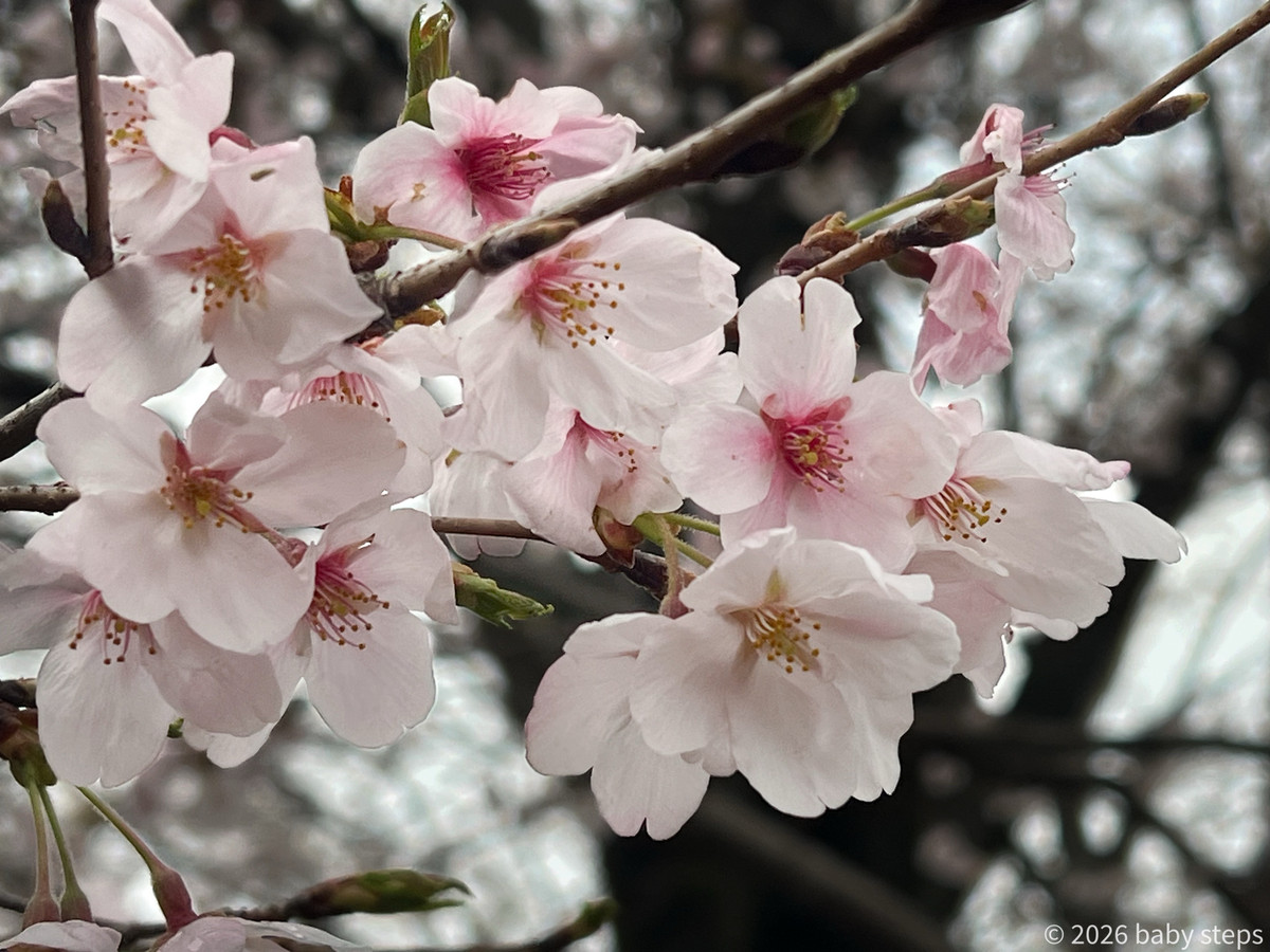 76372a14a0314de39d246a9832fc1a85 76372a14a0314de39d246a9832fc1a85