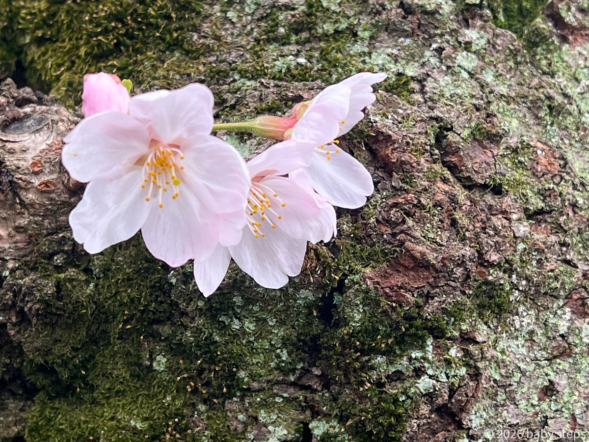 766d2a889f3441c4afe56e074d203739 766d2a889f3441c4afe56e074d203739