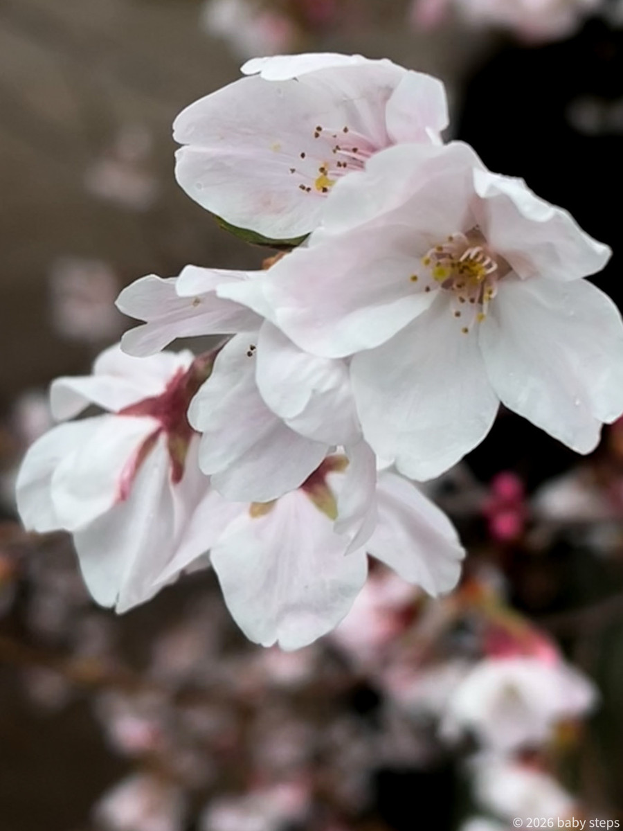 7ff4261aedef4993b6af0732dea8b0cf 7ff4261aedef4993b6af0732dea8b0cf