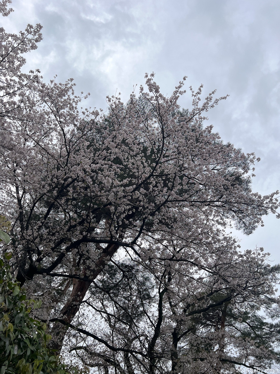 2e32b77ace474fc690b005fd3ef4d6f0 2e32b77ace474fc690b005fd3ef4d6f0