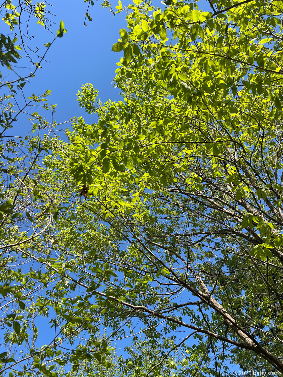 D4fbb9863bb94244b204f41439cf723c D4fbb9863bb94244b204f41439cf723c