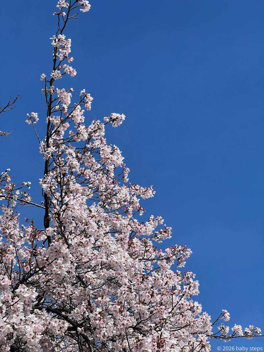 Ea4448f3eee64b54ab33a63a5fe1da57 Ea4448f3eee64b54ab33a63a5fe1da57