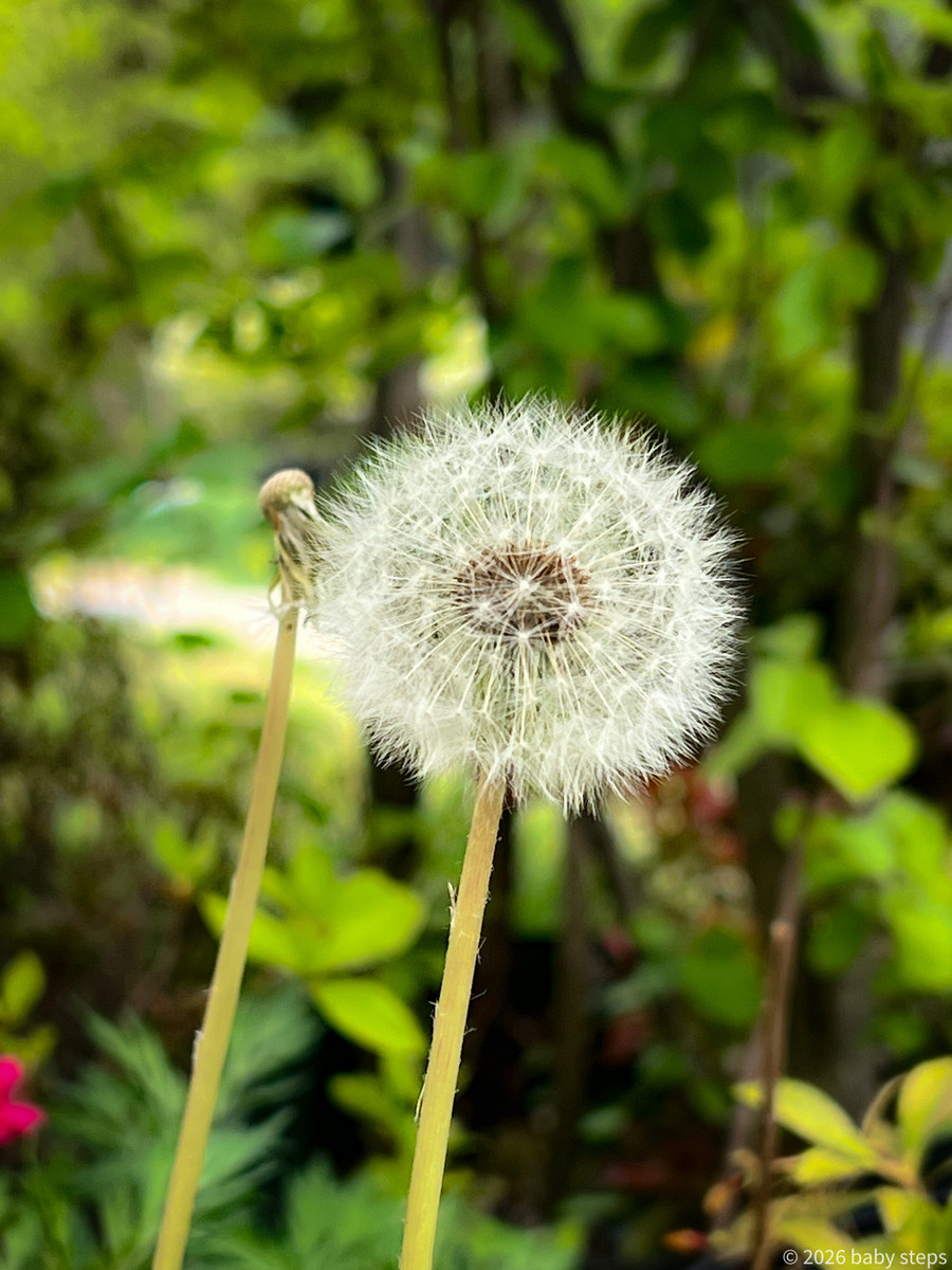 Be76330607084a9db4cd494447d294f8