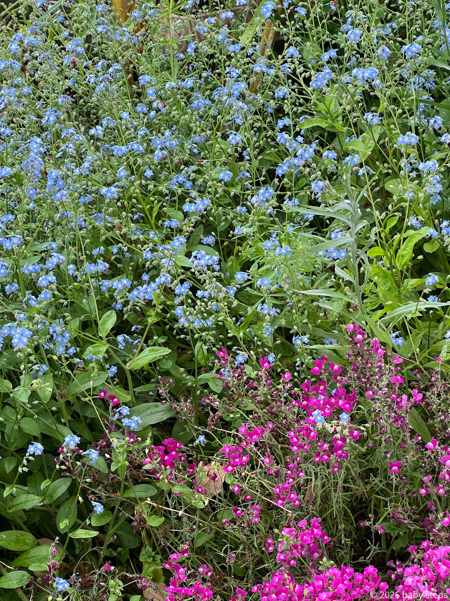 56747101dd3a47628111b6d167f4b881