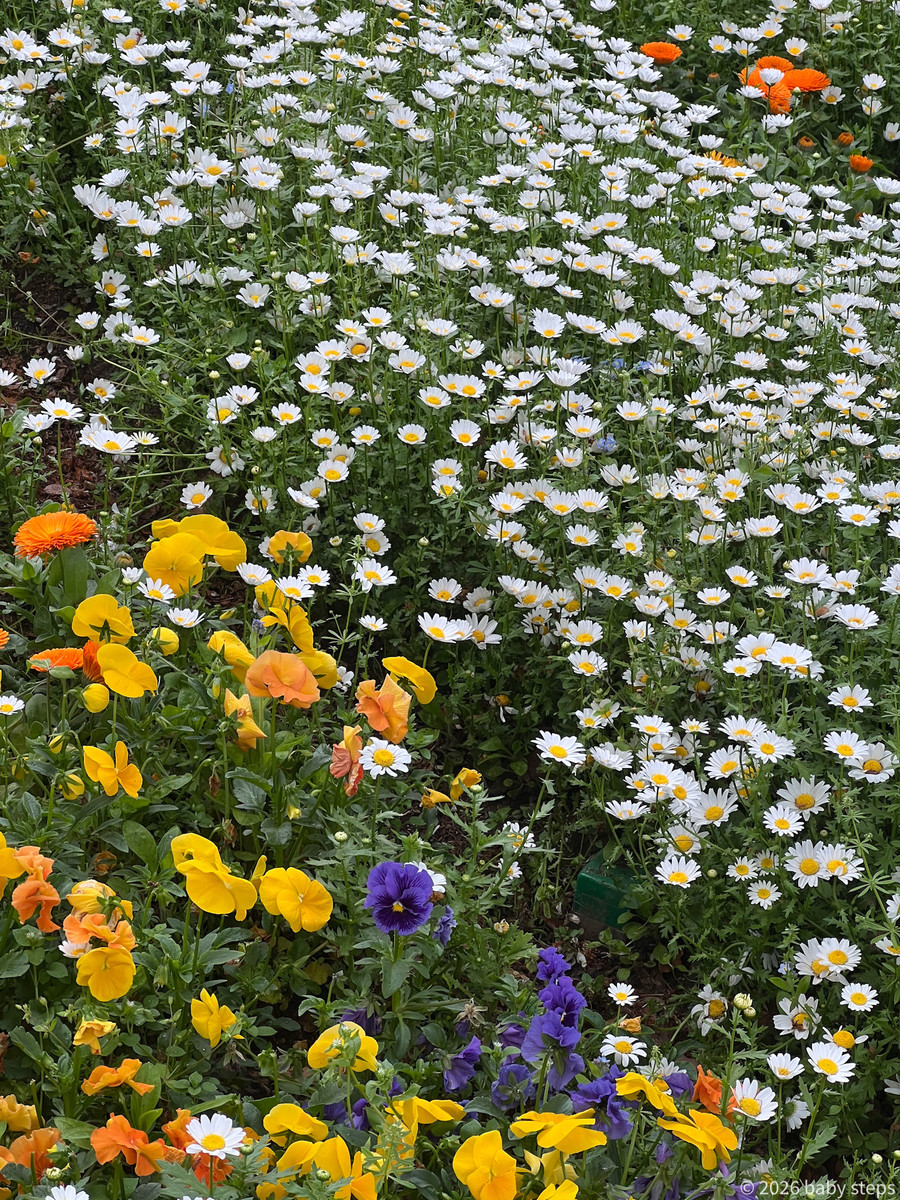 576dfe236bdc409b82faf4b93a7ae59c